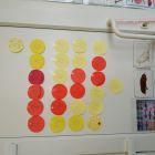 IMG_20220506_123451.jpg